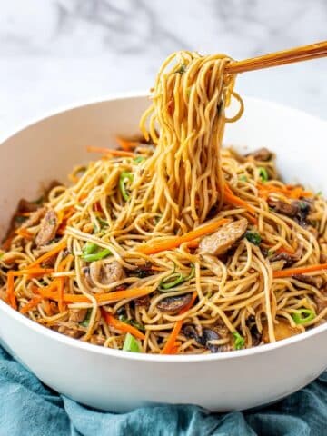 Chicken Lo Mein Recipe