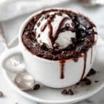 Vegan Chocolate Mug Cake Recipe