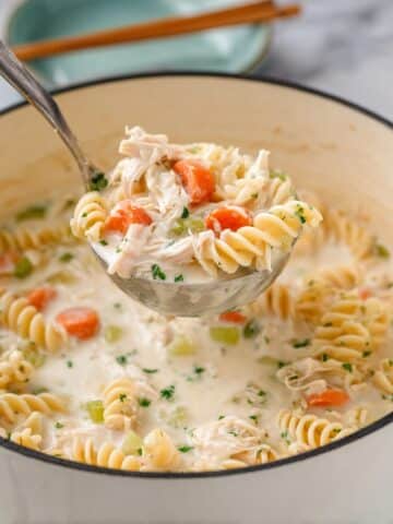 Creamy Chicken Soup with Noodles and Fresh Herbs Recipe