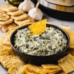 Crock Pot Spinach Artichoke Dip Recipe
