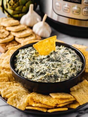 Crock Pot Spinach Artichoke Dip Recipe