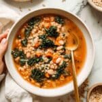 Vegetable Barley Soup Recipe