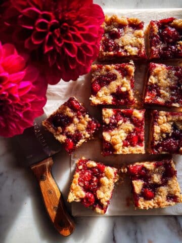 Any Fruit Oat and Pretzel Bars Recipe
