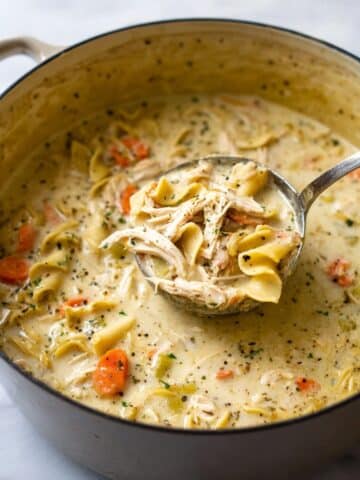 Creamy Chicken Noodle Soup Recipe