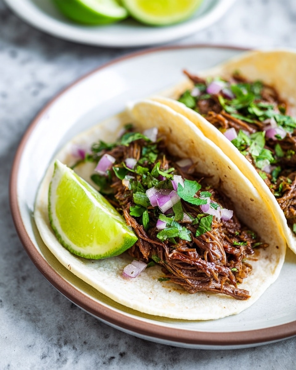 Two soft white corn tortillas lay side by side on a white plate with a thin brown rim, placed on a white marbled surface. Each tortilla is filled with shredded dark brown cooked meat, topped with small pieces of bright green cilantro and finely chopped purple onions. A thick wedge of fresh lime with bright green skin and juicy pale green flesh rests on the edge of each tortilla. In the background, there is a blurred white plate holding lime halves. Photo taken with an iphone --ar 4:5 --v 7